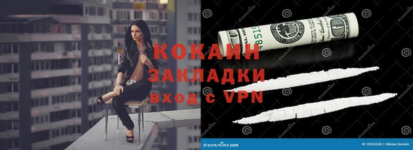 сатива Новокубанск