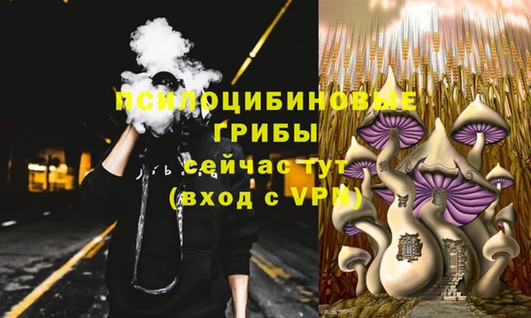 бошки Нея