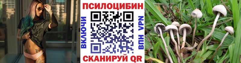 Псилоцибиновые грибы Psilocybine cubensis  купить наркоту  Палласовка 